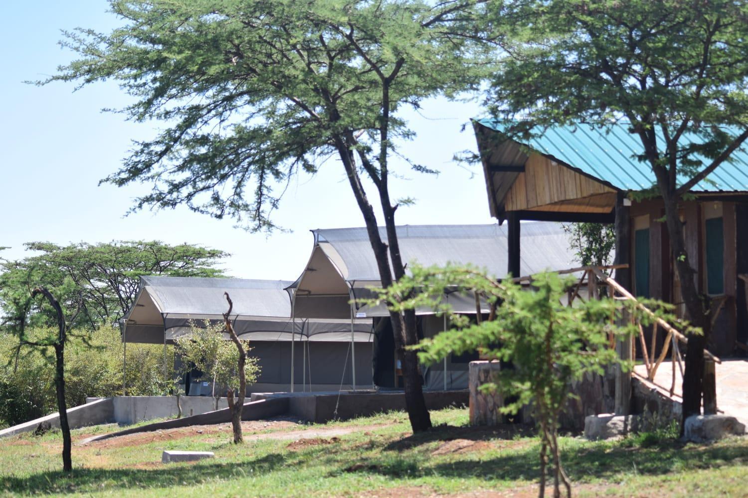 Maasai Mara Sfari camp in kenya Bed & Breakfast Sekenani Bagian luar foto