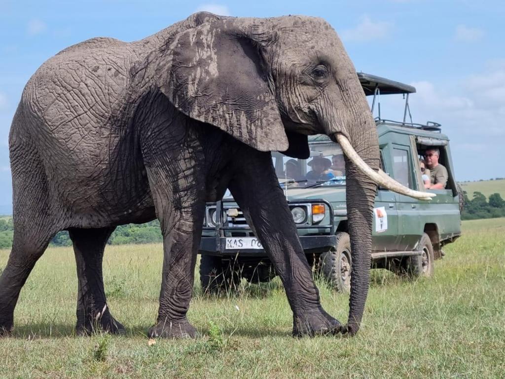 Maasai Mara Sfari camp in kenya Bed & Breakfast Sekenani Bagian luar foto